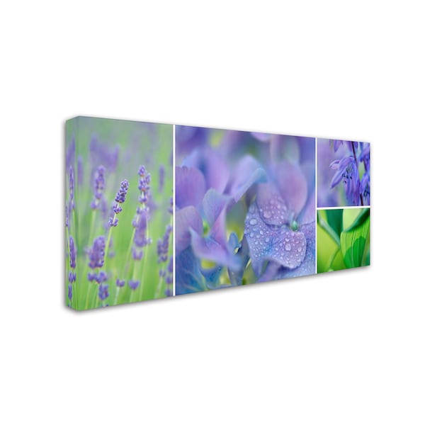 Cora Niele 'The Blue Garden' Canvas Art,12x24